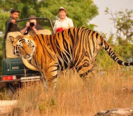 Bandhavghar Tiger Reserve in Madhya Pradesh. Book Hotel Vijan Mahal Jabalpur